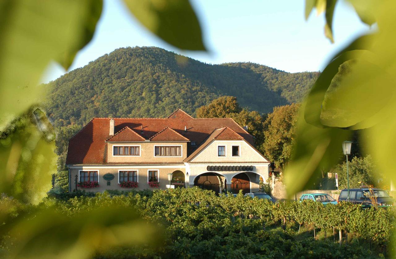 Weingut-Pension Stockingerhof Дюрнштайн Екстер'єр фото